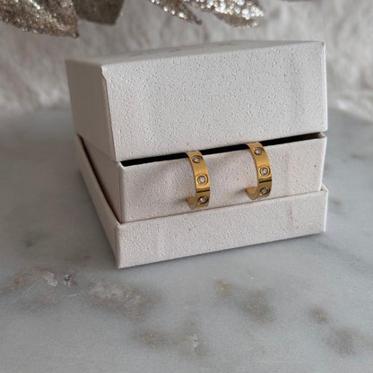 LUX - EARRINGS