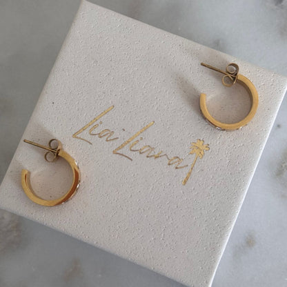 LUX - EARRINGS